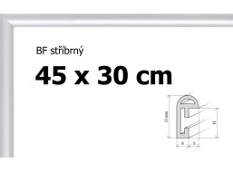 BFHM Plastový rám 45x30cm - strieborný