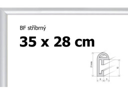 BFHM Plastový rám 35x28cm - strieborný