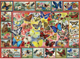 ANATOLIAN Puzzle Veľa motýľov 1000 dielikov