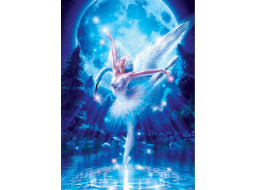 ART PUZZLE Puzzle Balet Labutie jazero 1000 dielikov