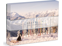 GALISON Obojstranné puzzle Gray Malin: Zima 500 dielikov