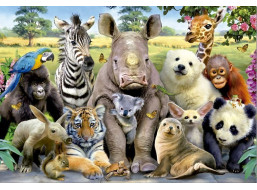 EDUCA Puzzle Fotka triedy 1000 dielikov