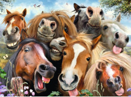 RAVENSBURGER Puzzle Konská selfie 500 dielikov