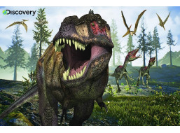 PRIME 3D Puzzle Discovery: Tyrannosaurus Rex 3D 150 dielikov