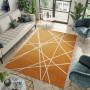 Moderné kusový koberec SPRING Raven - oranžová