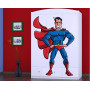 Detská skriňa SUPERMAN - TYP 11