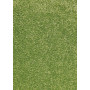 Kusový koberec Nasty 101149 green