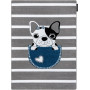 Dětský kusový koberec Petit Bulldog grey