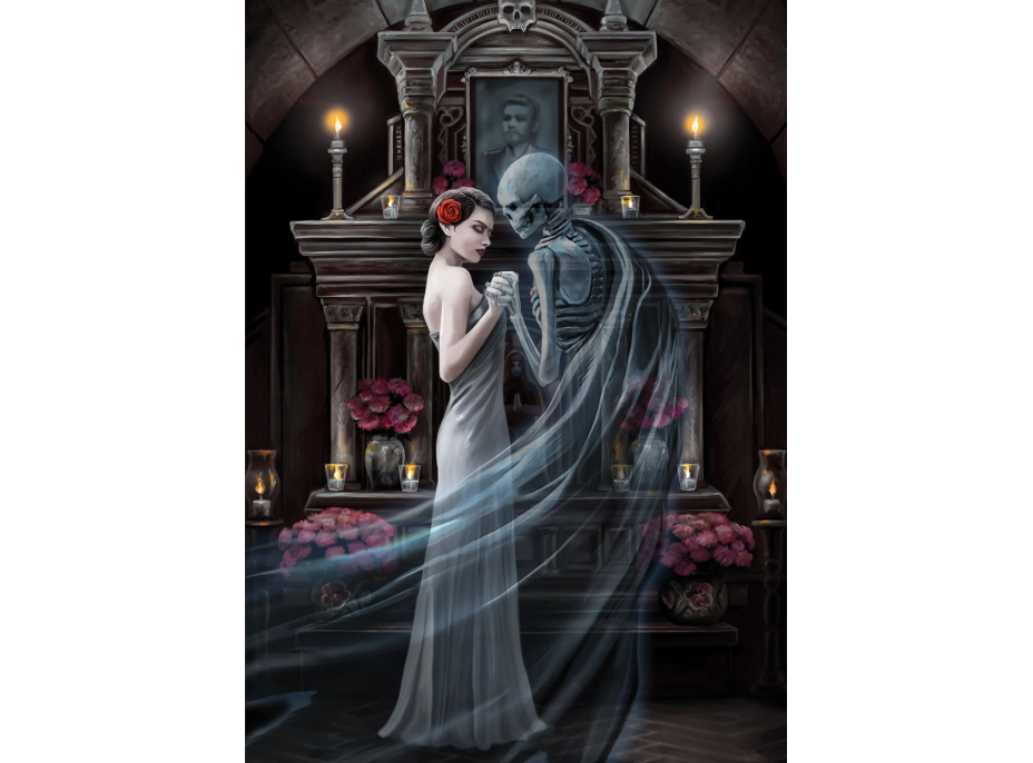 ART PUZZLE Puzzle Kolekcia Anne Stokes: Navždy 1000 dielikov