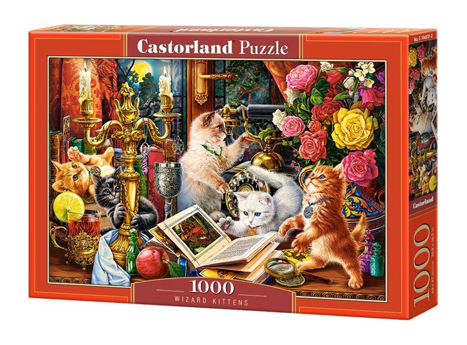 CASTORLAND Puzzle Mačiatka kúzelníci 1000 dielikov