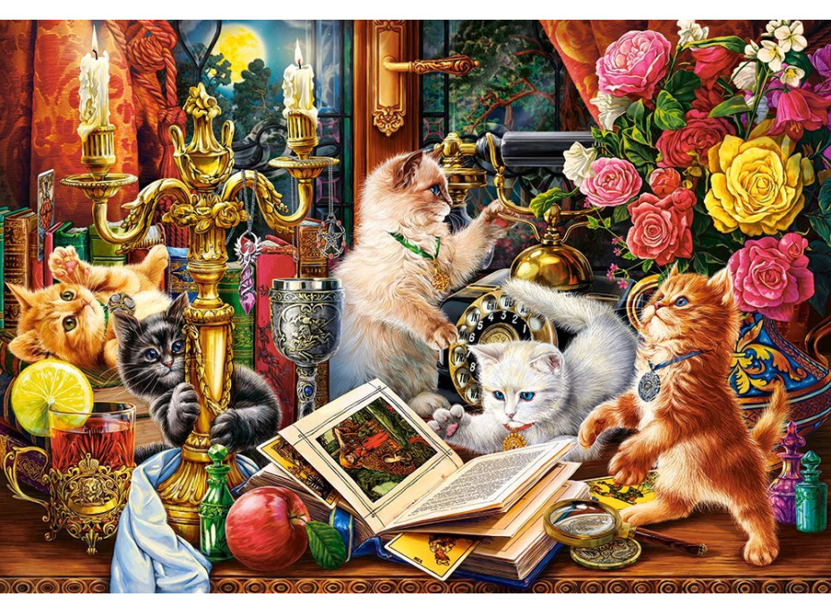 CASTORLAND Puzzle Mačiatka kúzelníci 1000 dielikov