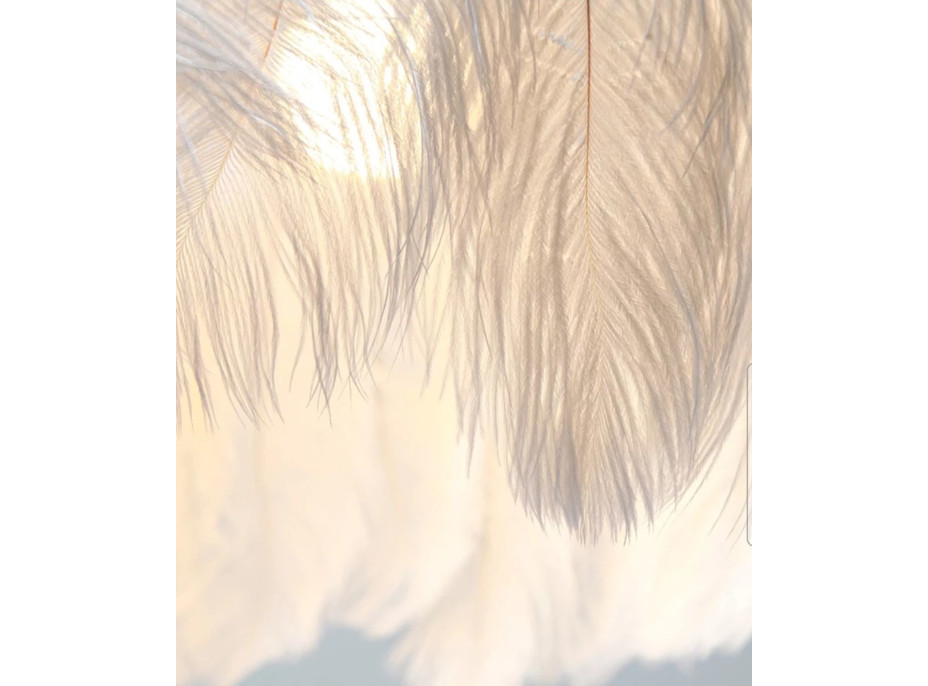 Stropné svietidlo FEATHER RING - zlaté/biele perie
