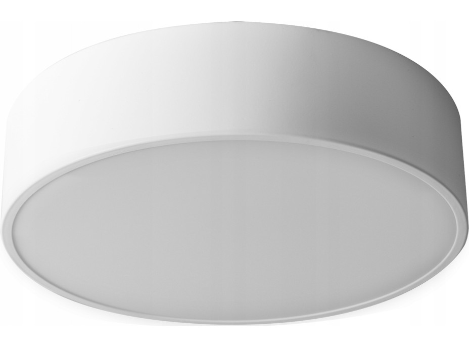 Stropné svietidlo COLE round - 30x30x8 cm - biele