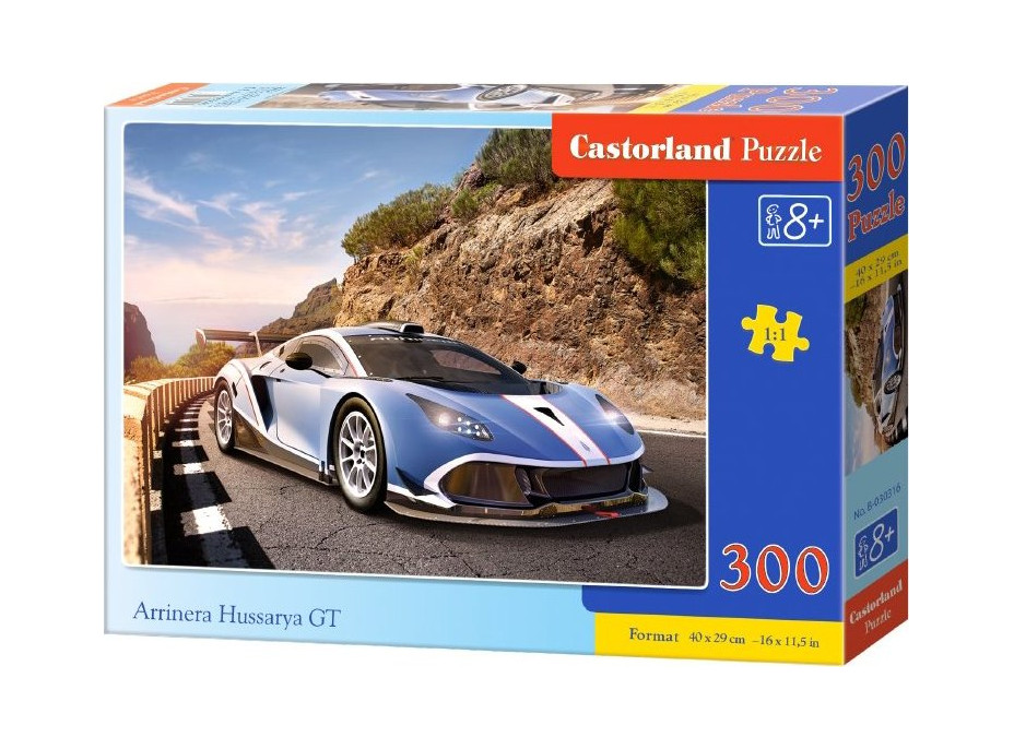 CASTORLAND Puzzle Arrinera Hussarya GT 300 dielikov