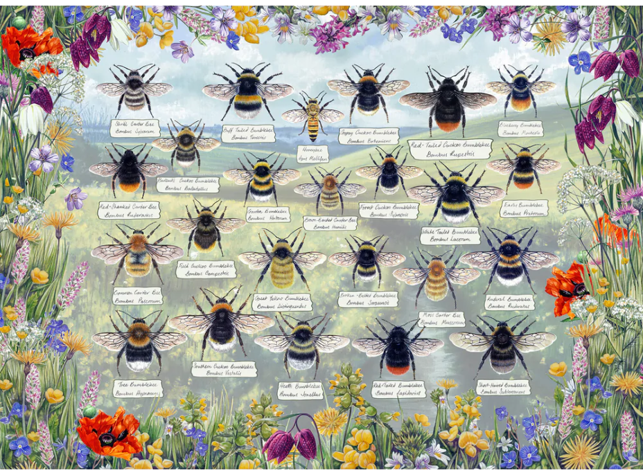 GIBSONS Puzzle Brilantné včely 1000 dielikov