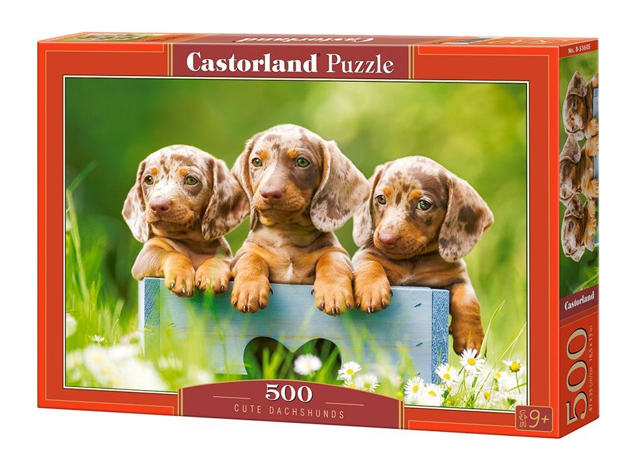 CASTORLAND Puzzle Roztomilí jazvečíci 500 dielikov