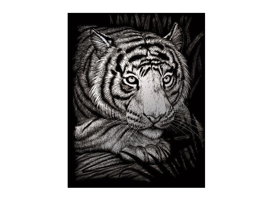 ROYAL & LANGNICKEL Strieborný škrabací obrázok Číhajúci tiger