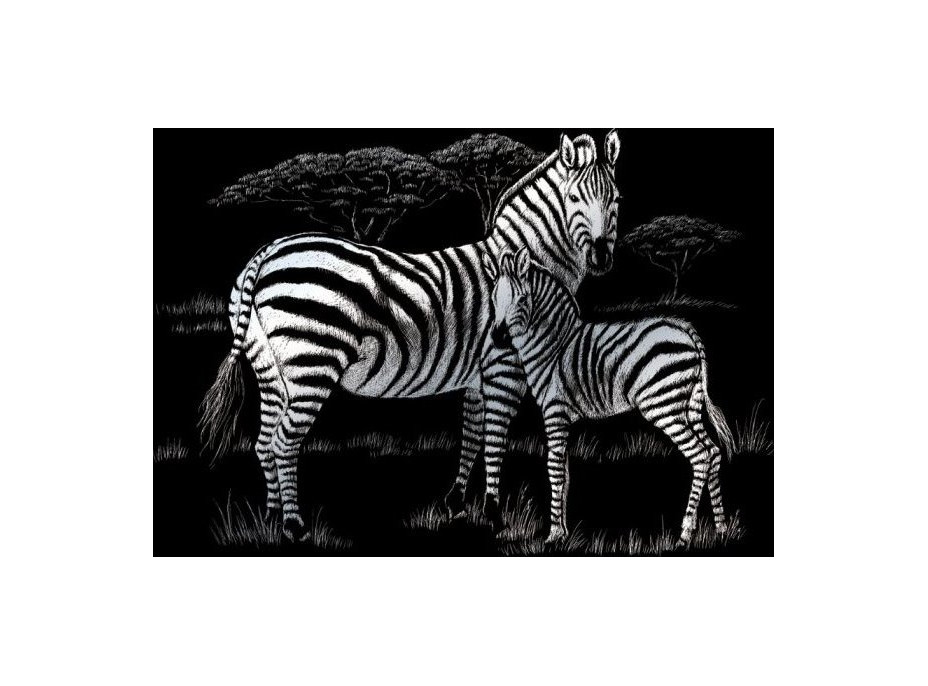 Strieborný škrabací obrázok Zebra s mláďaťom