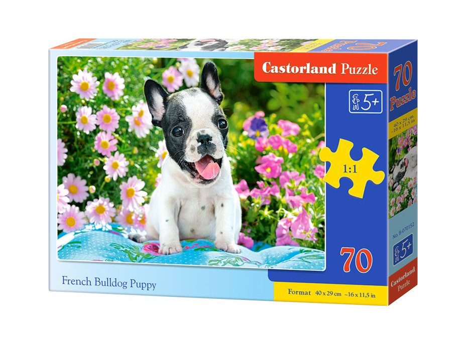 CASTORLAND Puzzle Šteňa Francúzskeho buldočka 70 dielikov