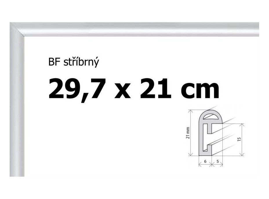 BFHM Plastový rám 29,7x21cm A4 - strieborný
