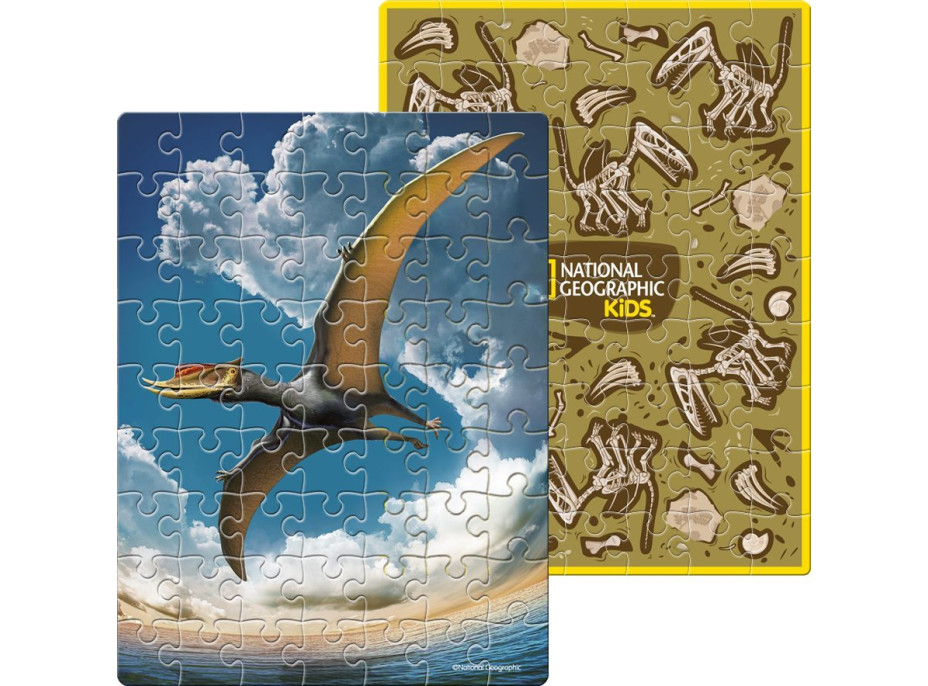 CUBICFUN Obojstranné puzzle vo vajci National Geographic: Pterosaur 63 dielikov