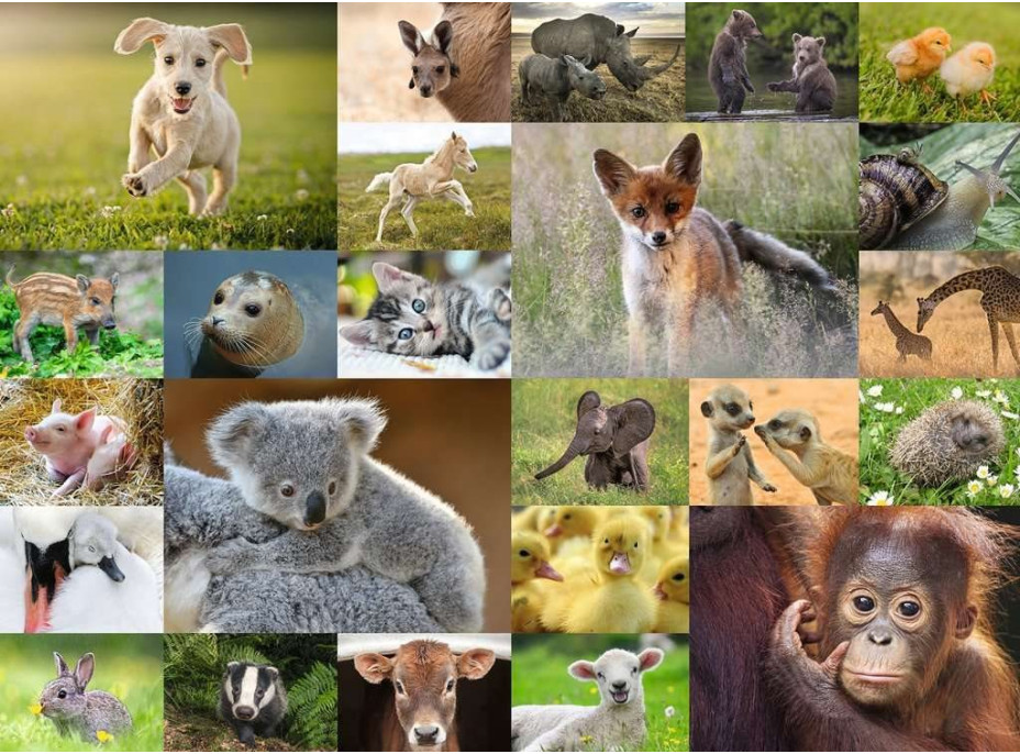 RAVENSBURGER Puzzle Koláž zvieracích mláďat XXL 200 dielikov