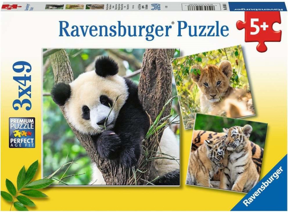RAVENSBURGER Puzzle Panda, tiger a lev 3x49 dielikov