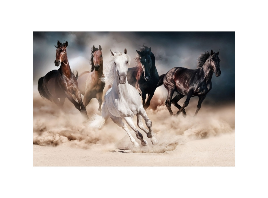 Obraz na skle HORSES 120x80