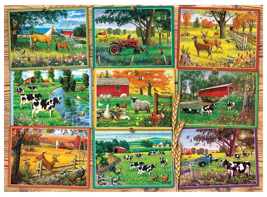 COBBLE HILL Puzzle Pohľady z farmy 1000 dielikov