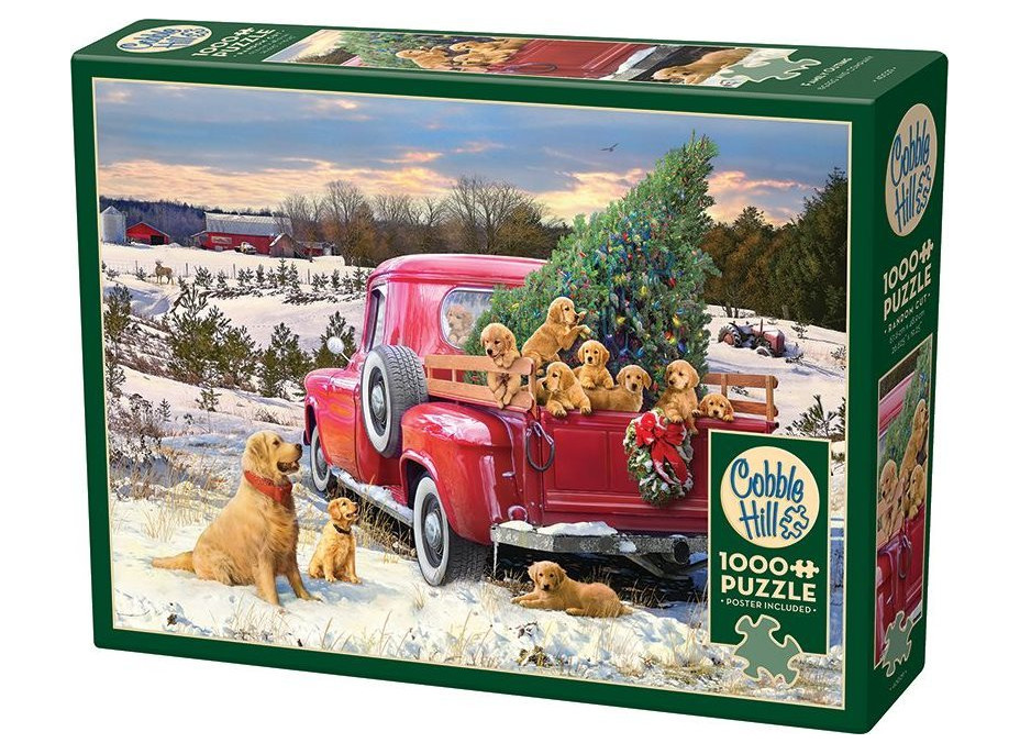 COBBLE HILL Puzzle Rodinný výlet 1000 dielikov