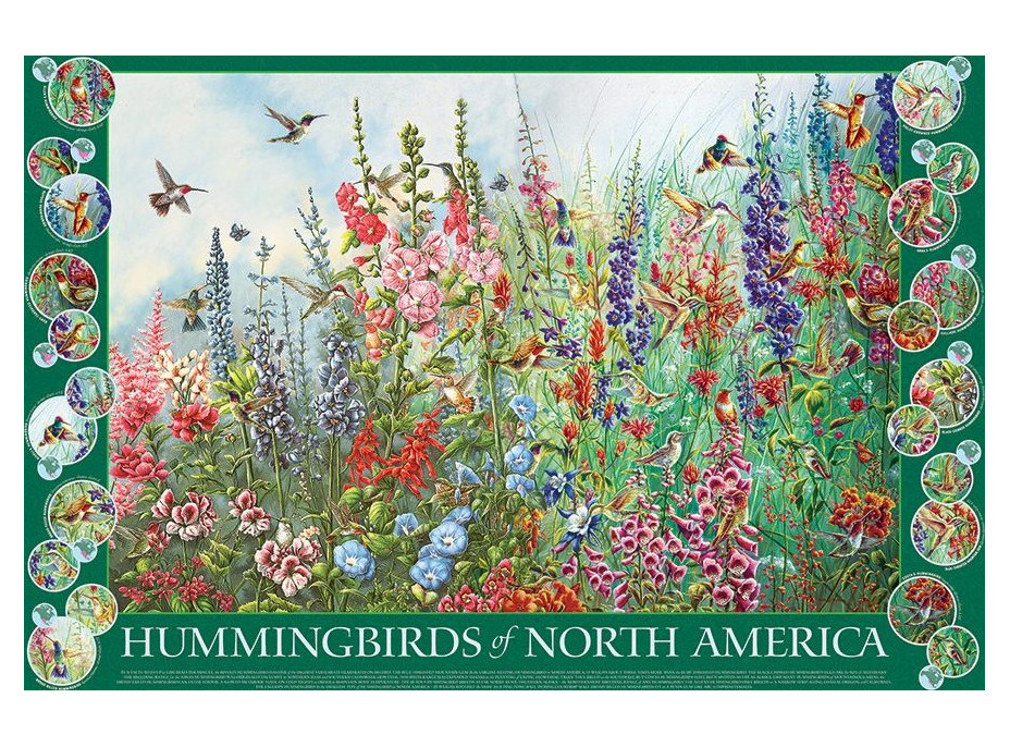 COBBLE HILL Puzzle Kolibríky Severnej Ameriky 2000 dielikov