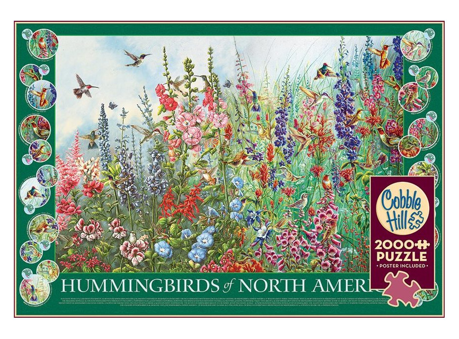 COBBLE HILL Puzzle Kolibríky Severnej Ameriky 2000 dielikov