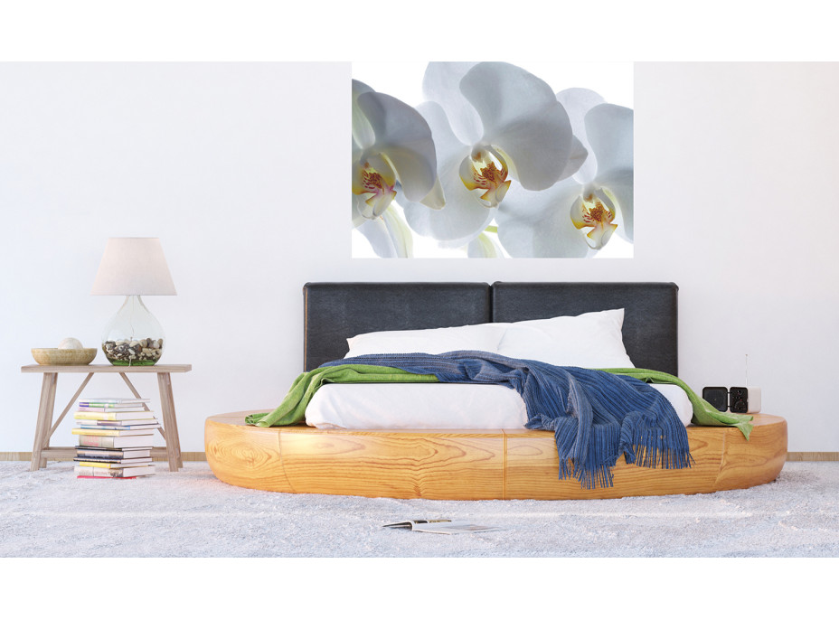 Moderné fototapety - Biela orchidea - 180x127 cm