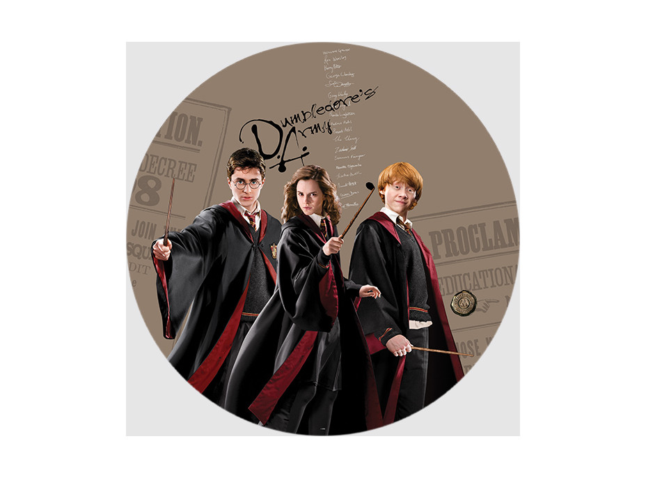 Detská samolepiaca fototapeta - HARRY POTTER 1 - guľatá - 70 cm