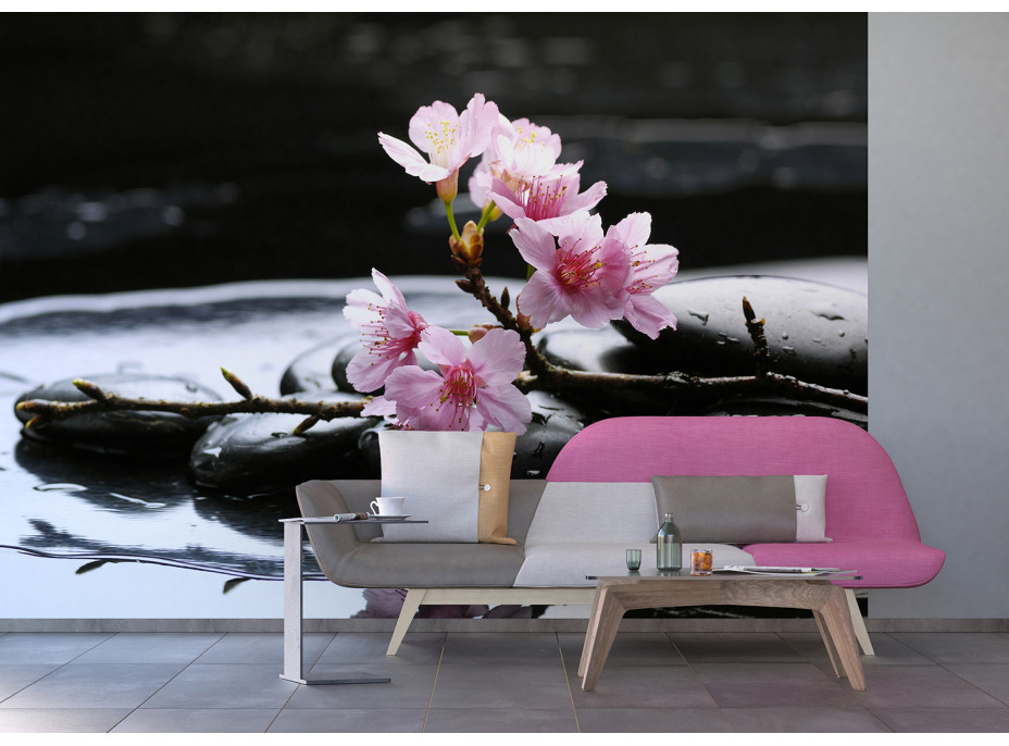 Moderné fototapety - Kvety sakury na lávových kameňoch - 360x254 cm