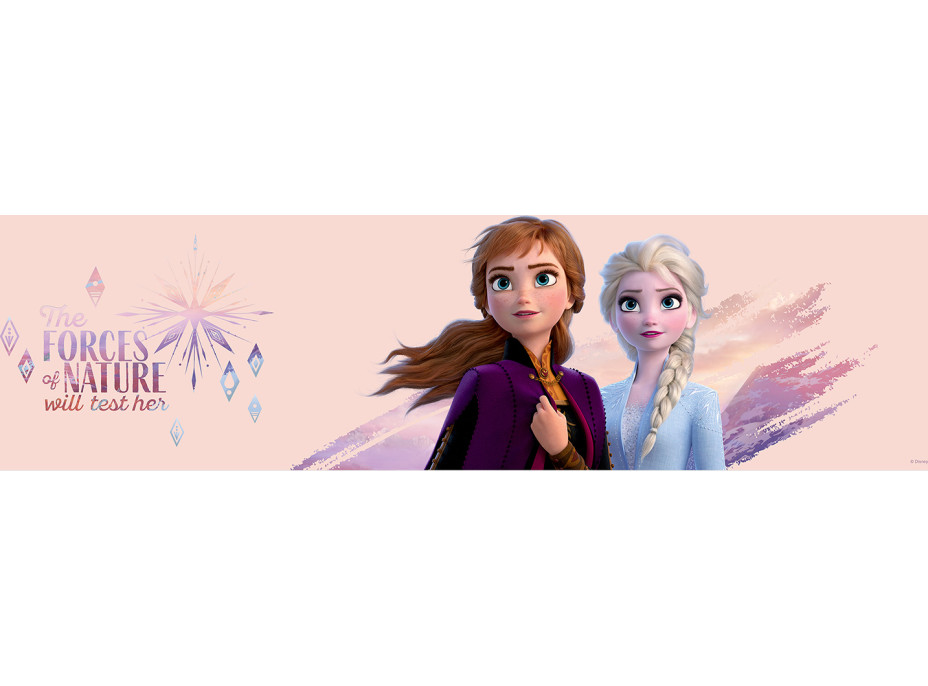 Detská samolepiaca bordúra DISNEY FROZEN 2 "The forces of nature" - 14x500 cm