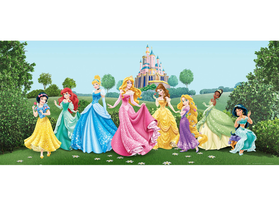 Detská fototapeta DISNEY - Princezné na lúke pred zámkom - 202x90 cm