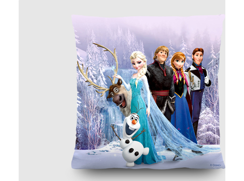 Detský vankúšik DISNEY ĽADOVEJ KRÁĽOVSTVO FROZEN 40x40 cm