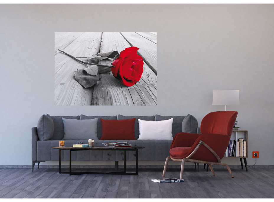Moderné fototapety - Červená ruža - 155x110 cm