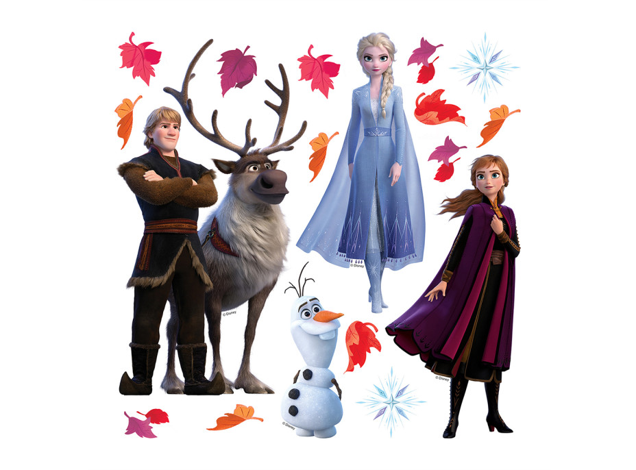 Detská samolepka DISNEY FROZEN 2 s lístkami 30x30 cm