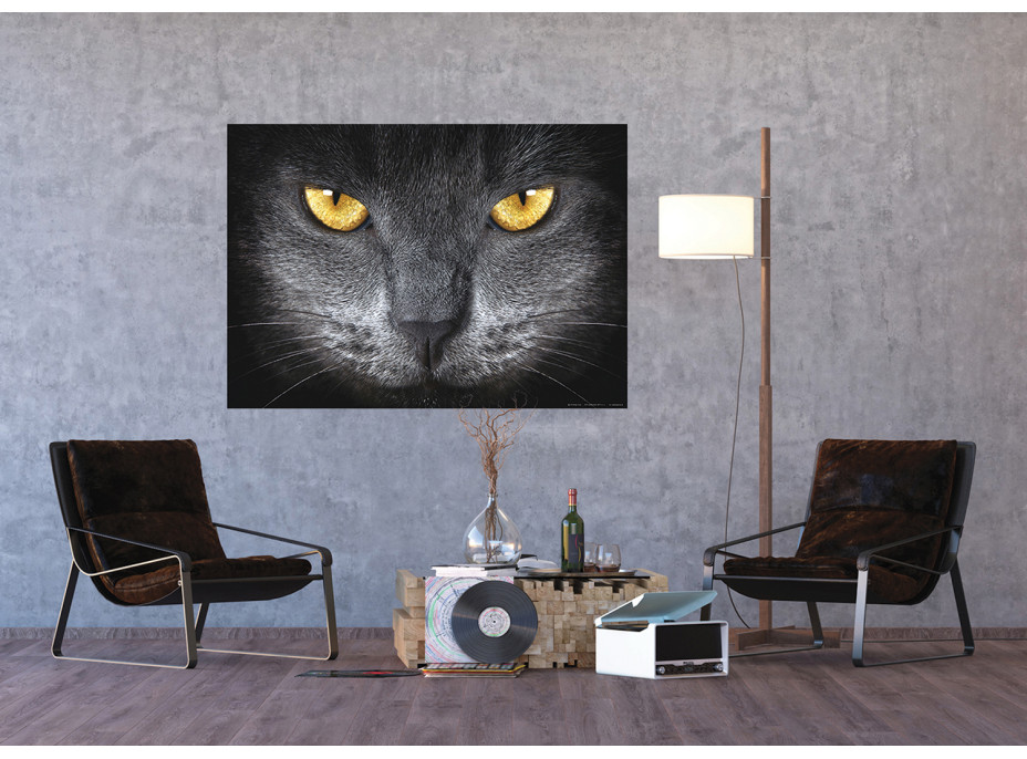 Moderné fototapety - Mačacie oči - 155x110 cm