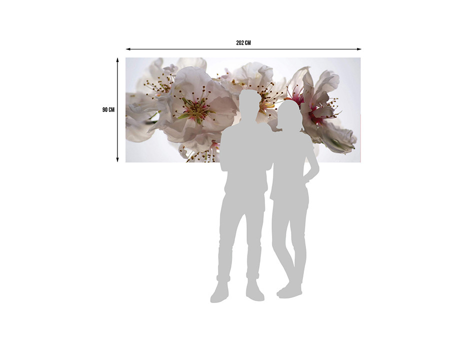 Moderné fototapety - Kvety sakury - 202x90 cm