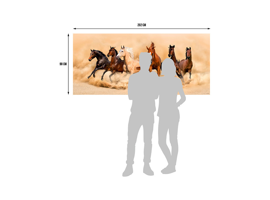 Moderné fototapety - Závod ušľachtilých koní - 202x90 cm