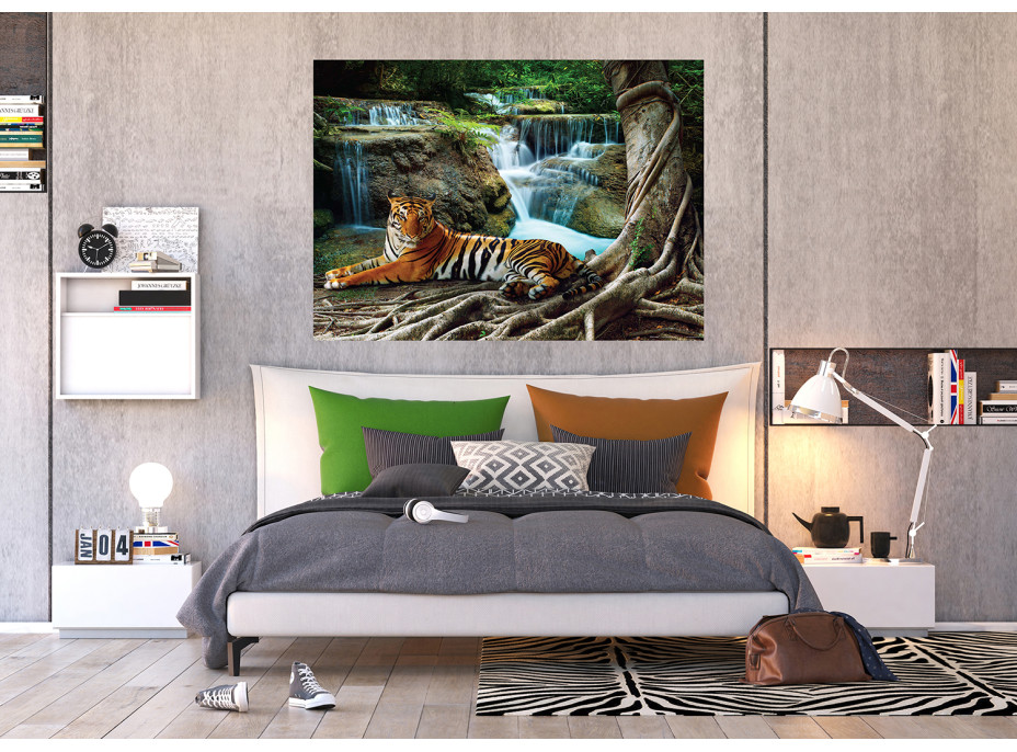 Moderné fototapety - Tiger pri vodopáde - 155x110 cm