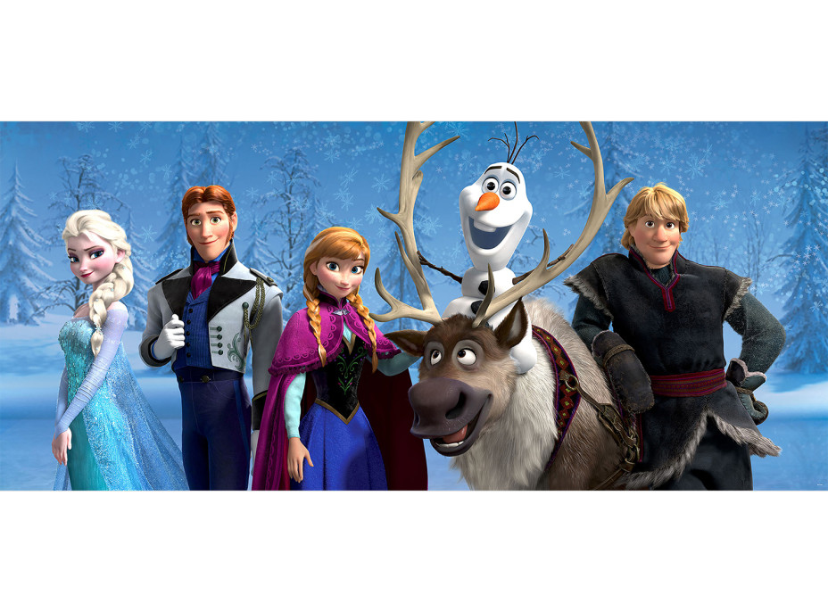 Detská fototapeta DISNEY - FROZEN - 202x90 cm