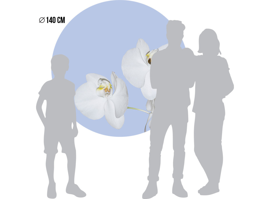 Moderné fototapety - Orchidea na modrom pozadí - okrúhla - 140 cm