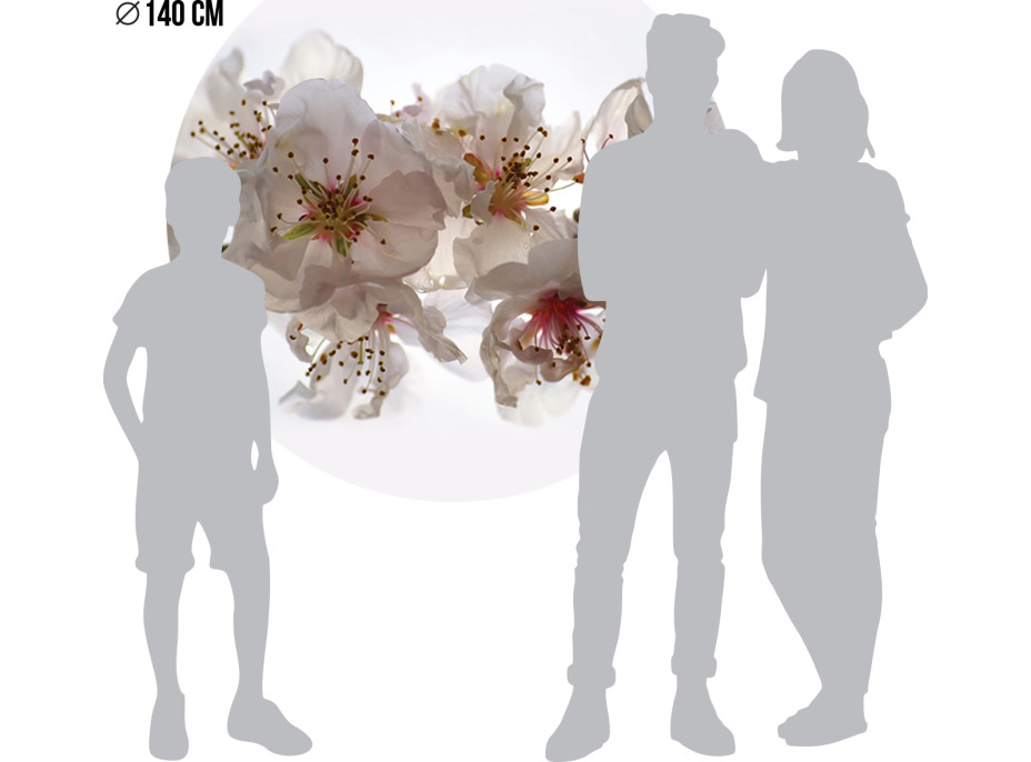 Moderné fototapety - Kvety sakury - guľatá - 140 cm