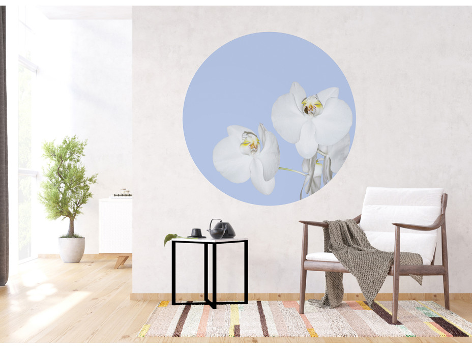 Moderné fototapety - Orchidea na modrom pozadí - okrúhla - 140 cm