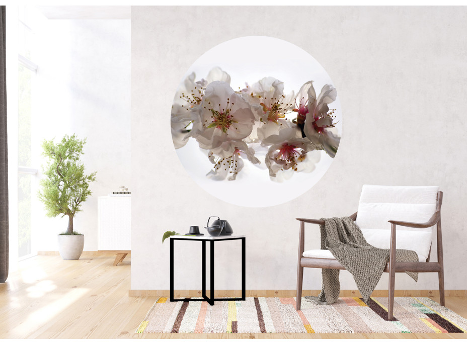 Moderné fototapety - Kvety sakury - guľatá - 140 cm