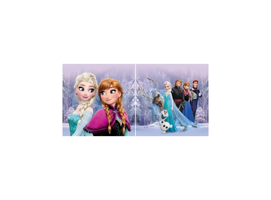 Detský vankúšik DISNEY ĽADOVEJ KRÁĽOVSTVO FROZEN 40x40 cm